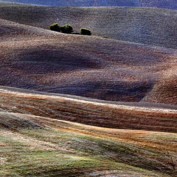 Photograph Della Latta Massimo  Colori Della Val D Orcia on One Eyeland